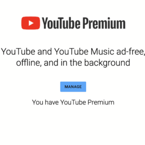 Youtube Premium Annual 12 Month